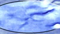 9sideview2.jpg (40kb)